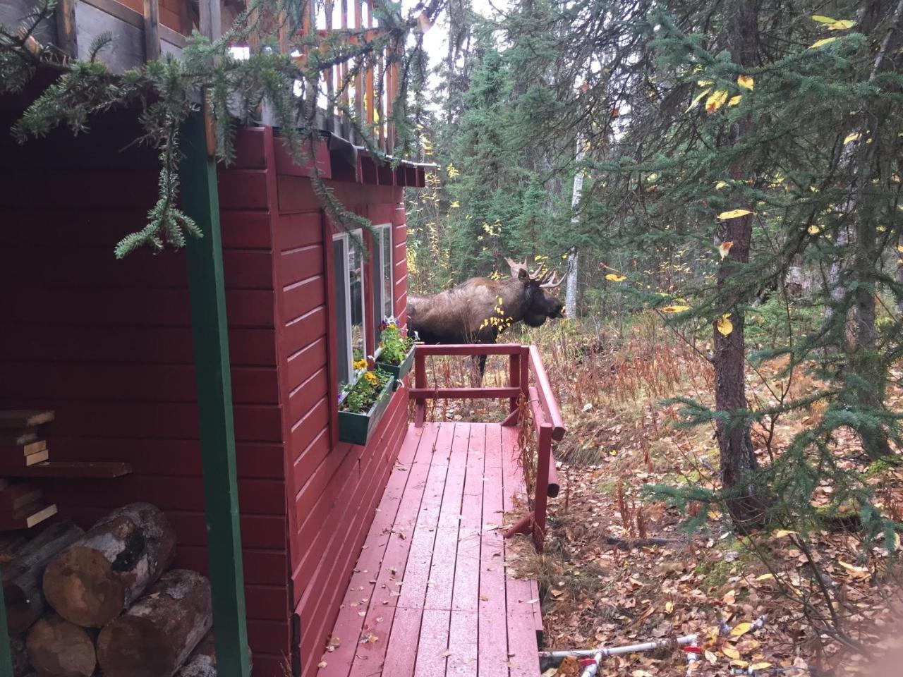 A Walden'S Pond Vila Soldotna Exterior foto