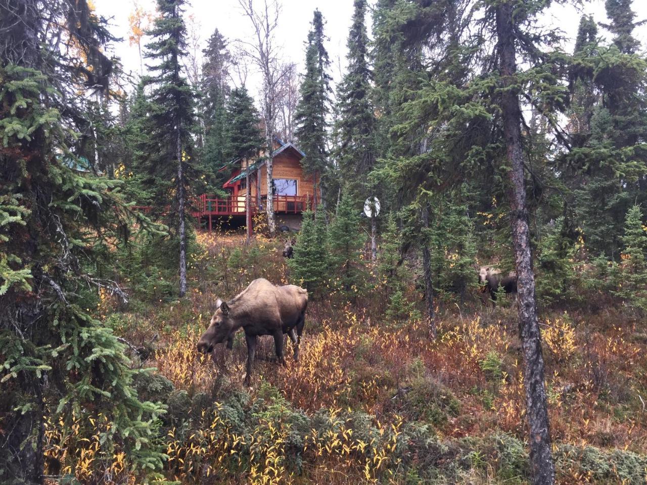 A Walden'S Pond Vila Soldotna Exterior foto