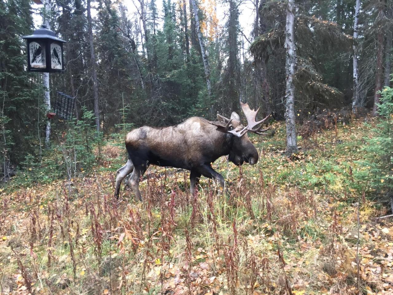 A Walden'S Pond Vila Soldotna Exterior foto