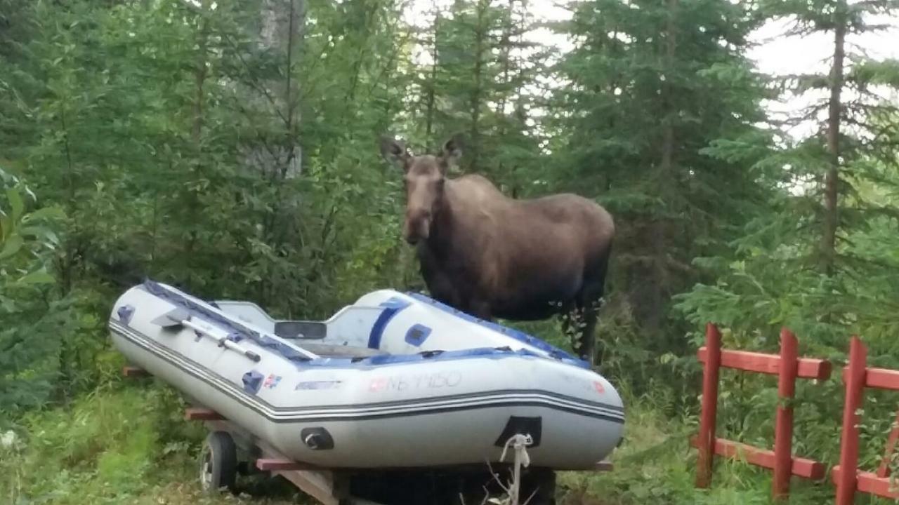 A Walden'S Pond Vila Soldotna Exterior foto